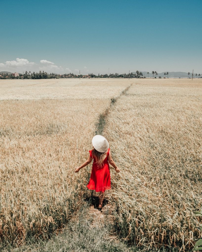 Field in Phu Yen, Vietnam