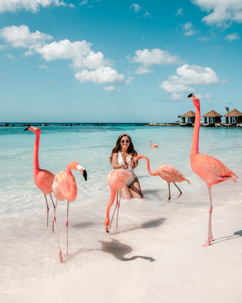 Flamingo Beach, Renaissance Island, Aruba