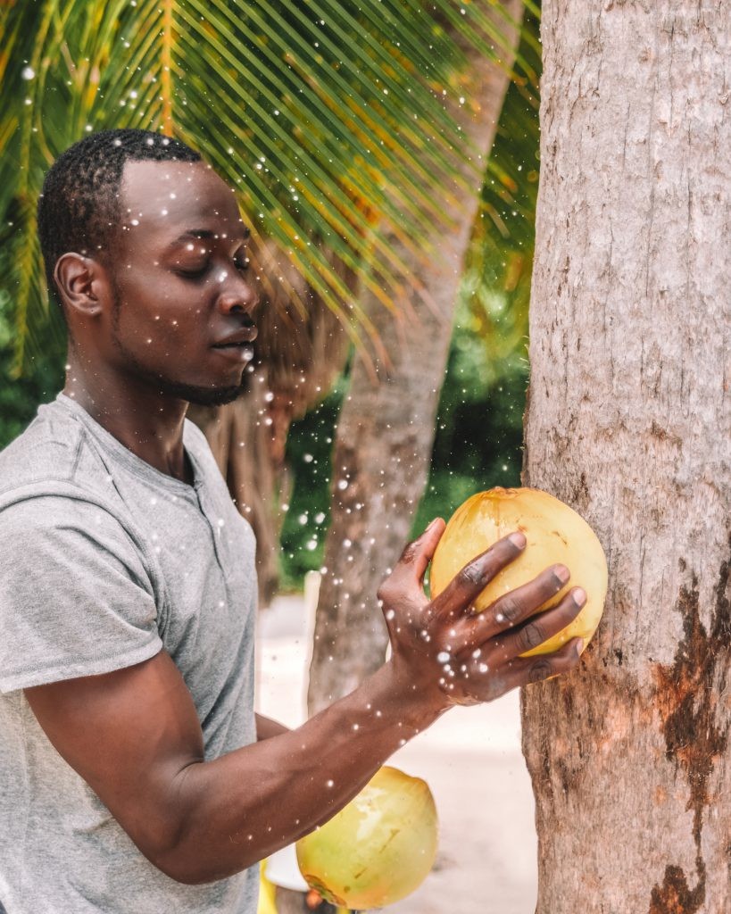 Opening a coconut in Jamaica