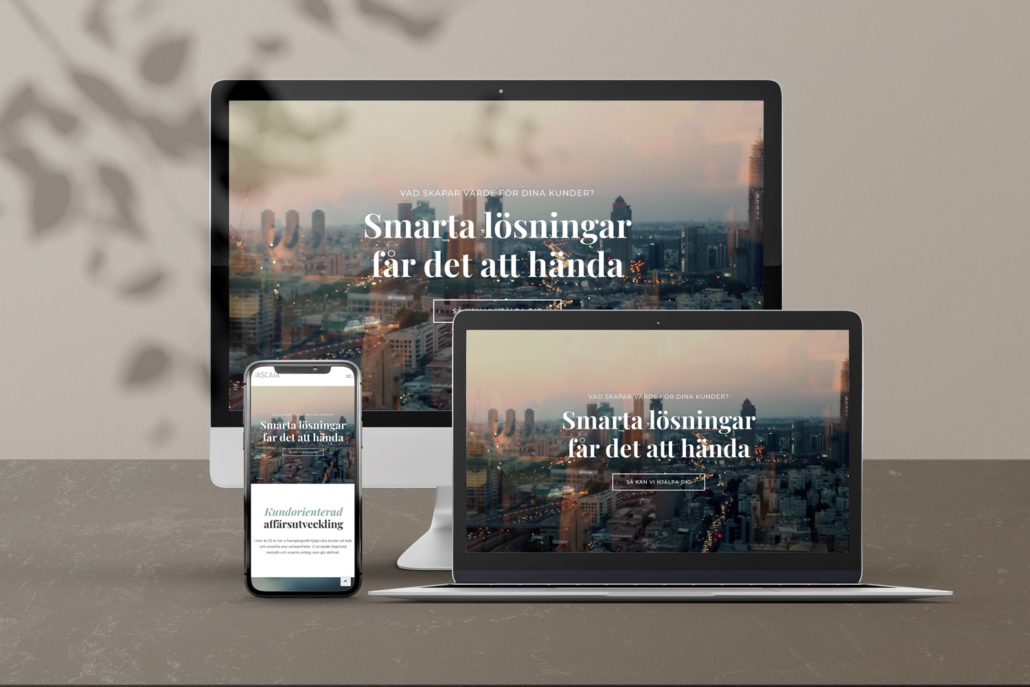 Wordpress Web Design & Development for Vascaia